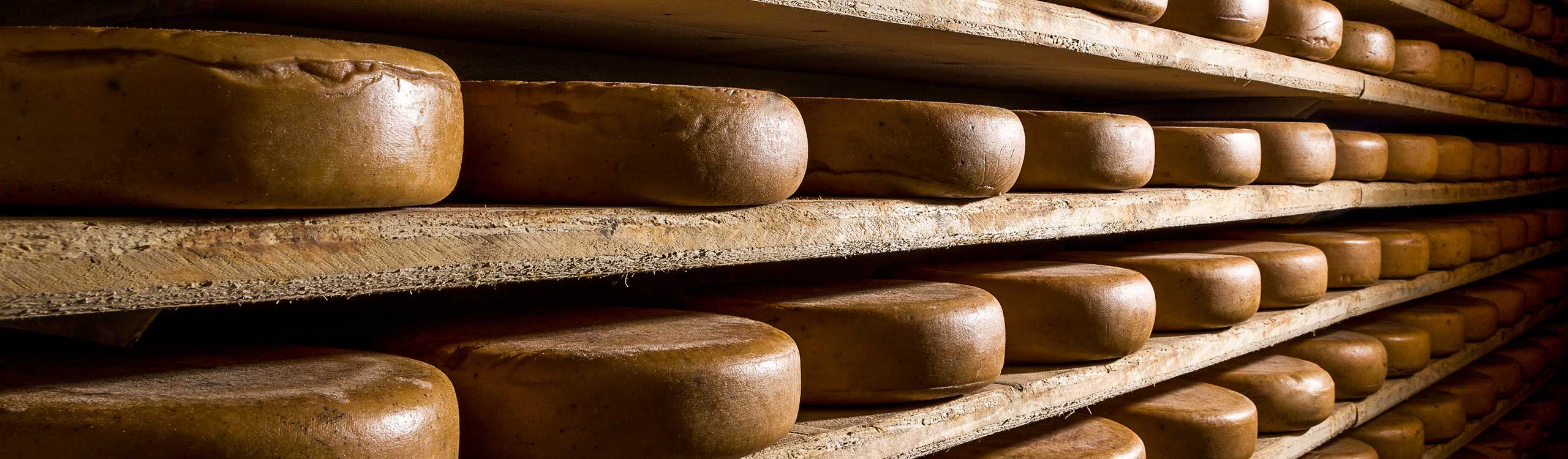 aged cheeses